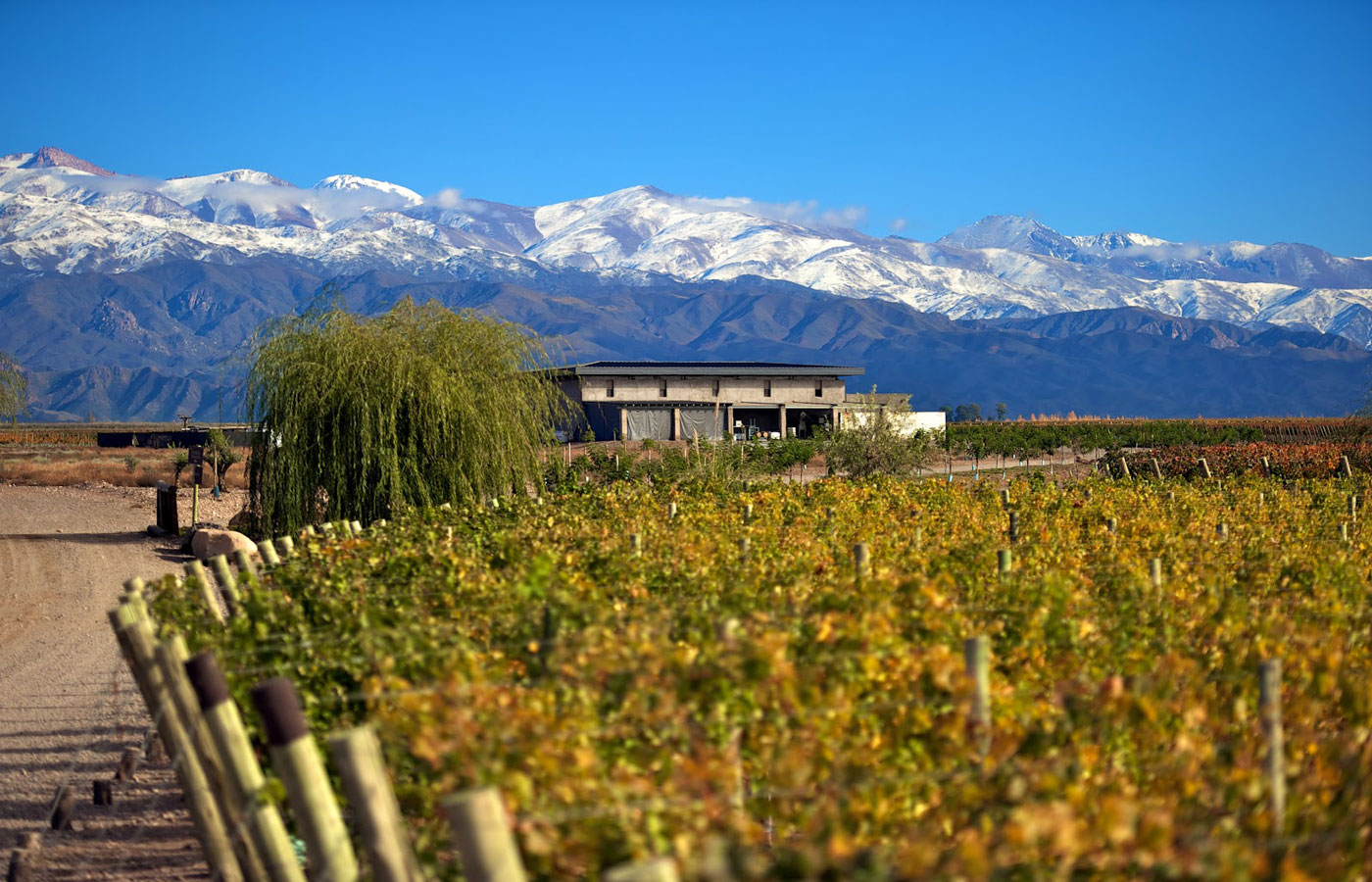 luxury-holidays-to-mendoza-cordoba-and-the-wine-region