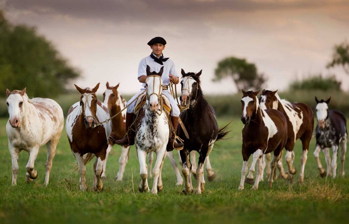 argentina horse tour