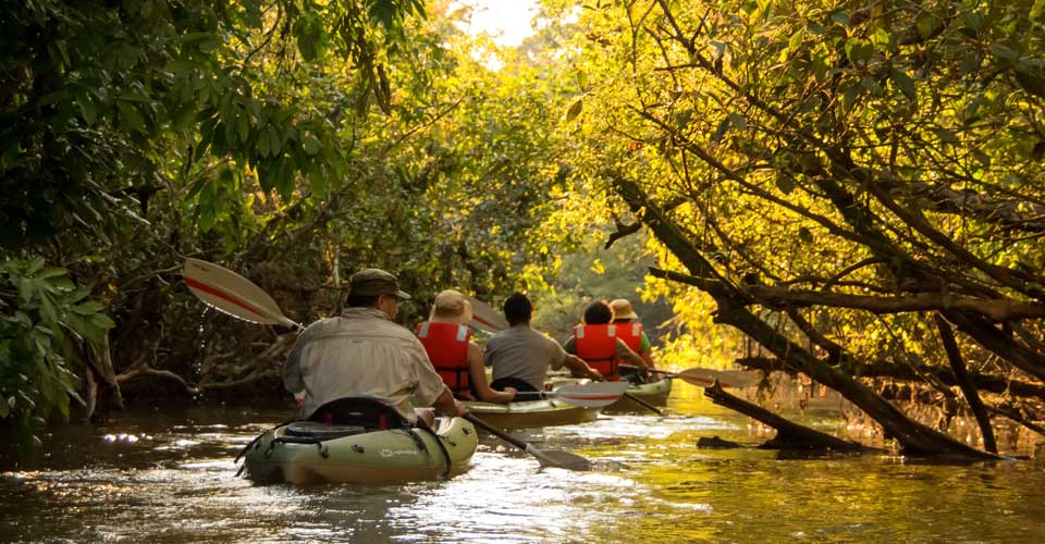 Anakonda Amazon Cruise - Luxury Ecuadorian Amazon cruise