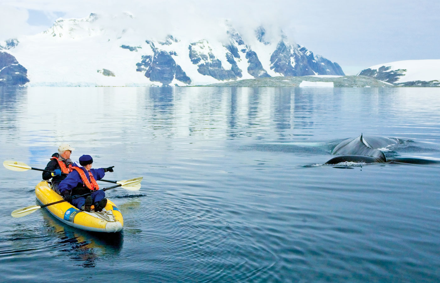 take-the-nat-geo-explorer-luxury-cruise-ship-to-antarctica