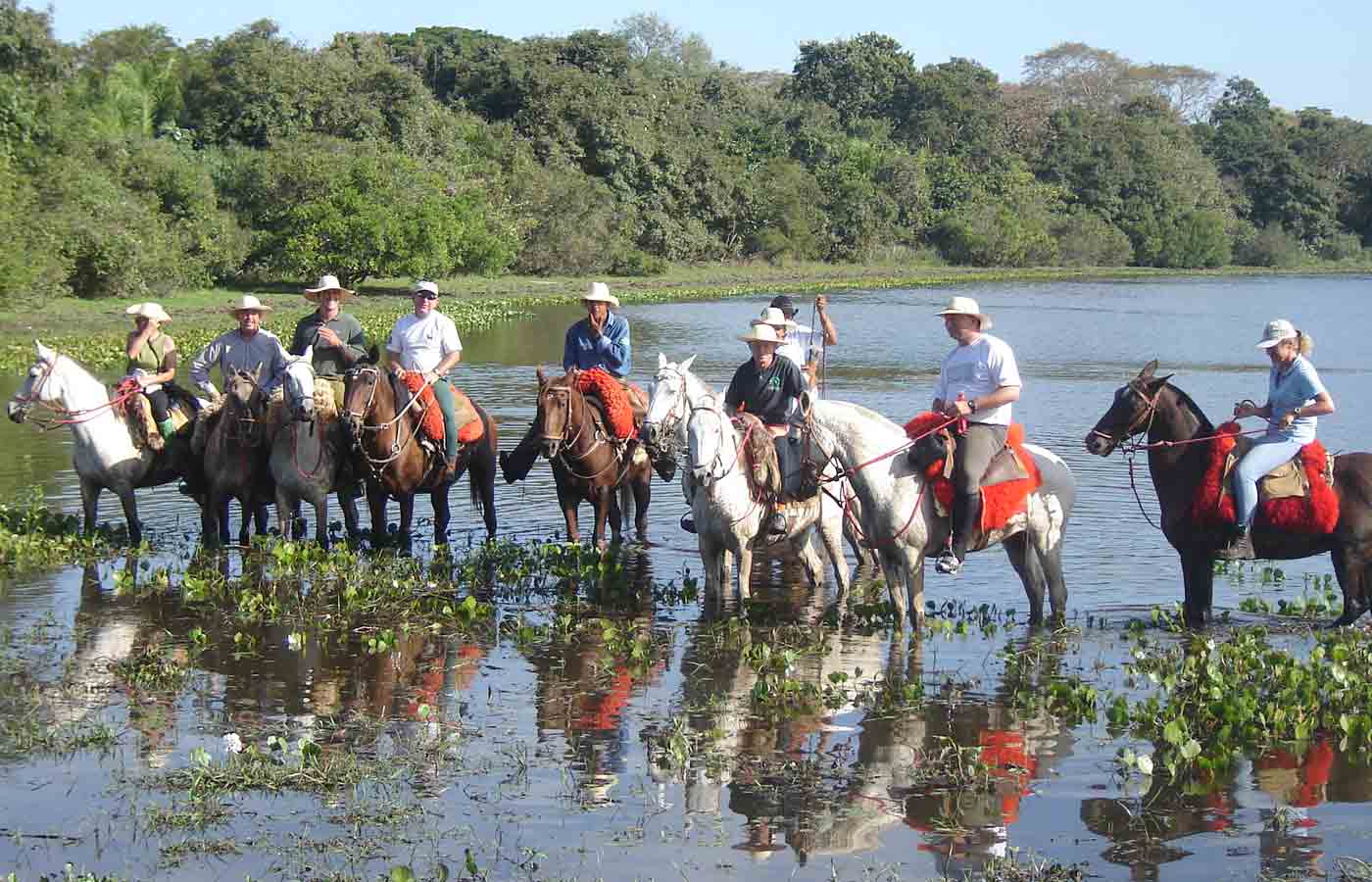 Barra Mansa Lodge - Holidays to the Pantanal, Brazil - Humboldt Travel