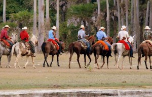 Fazenda Barranco Alto - Holidays to the Pantanal, Brazil