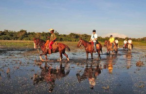 Pousada Rio Mutum - Holidays to the Pantanal, Brazil