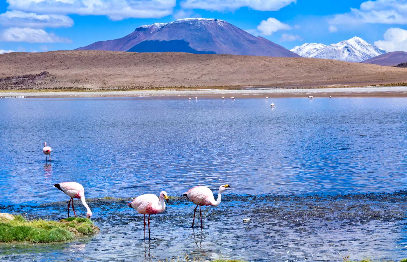 Bolivian Altiplano Bolivian Altiplano