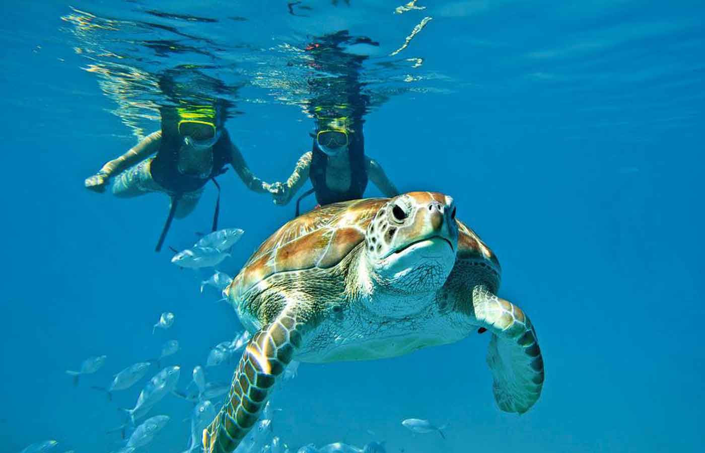 Hopkins Bay Resort, Belize Hopkins Bay Resort, Belize, luxury Belize, tailor-made holidays to Belize, Belize holidays,