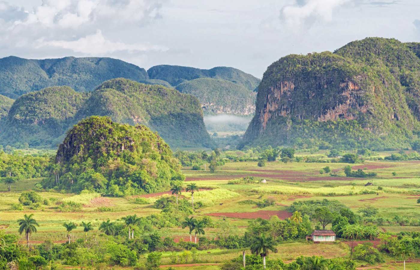 La Autentica, Vinales, Cuba La Autentica, Vinales, Cuba