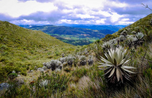 Chingaza National Park - Colombia