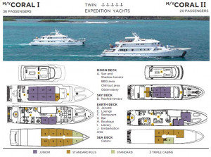 Coral Yachts Deck Plan