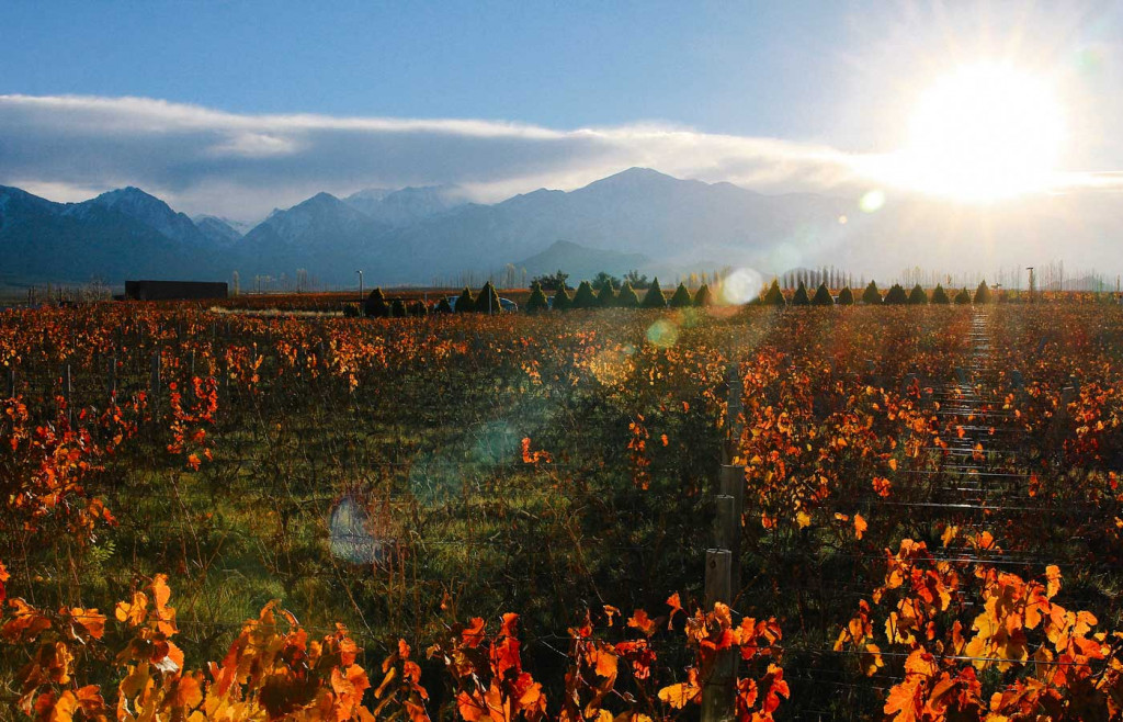 Scenery around Casa de Uco - Argentina