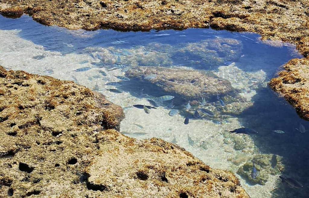 Natural Pools in northern Brazil - Beach holidays in Brazil