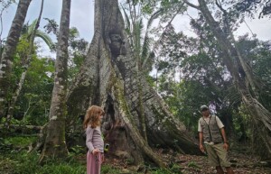 Amazon Forest trek, Brazil