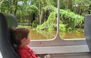 Boat to Juma Lodge, Amazon, Brazil