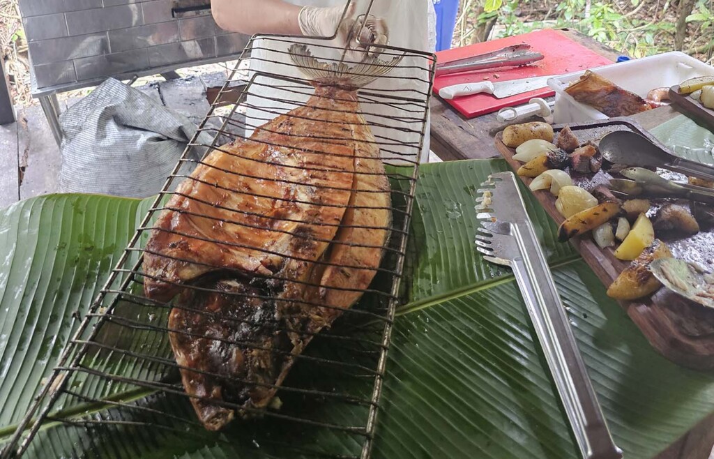 Lunch at Juma Lodge, Amazon, Brazil