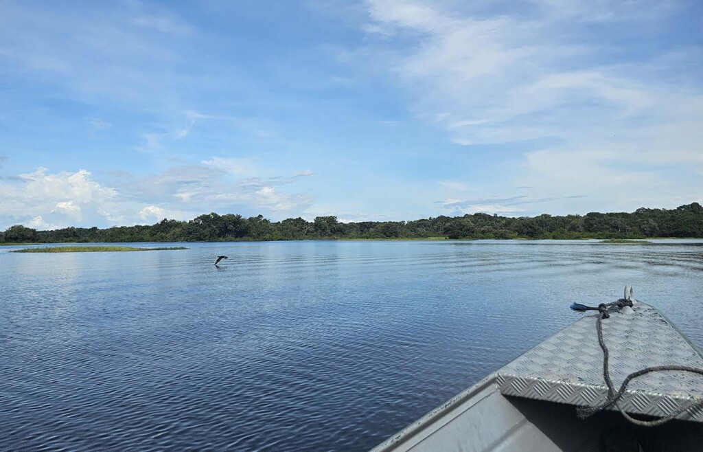 Amazon River, Brazil